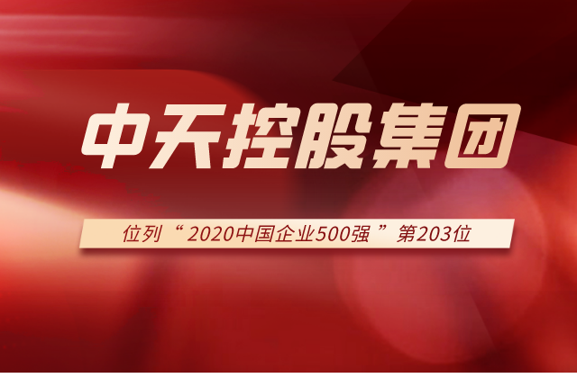 豪运国际集团列2020中国企业500强第203位！